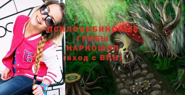 МДПВ Алзамай