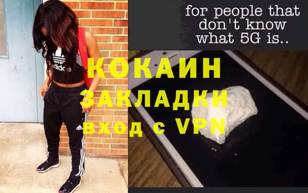 индика Алексеевка