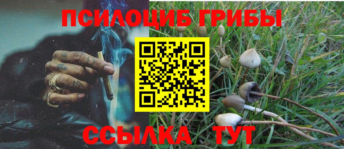 Галлюциногенные грибы Psilocybine cubensis Южно-Сахалинск
