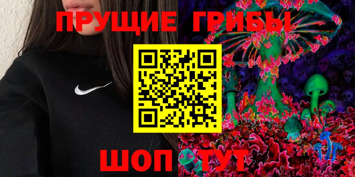 Южно-Сахалинск  Галлюциногенные грибы Psilocybe  Вход с VPN 